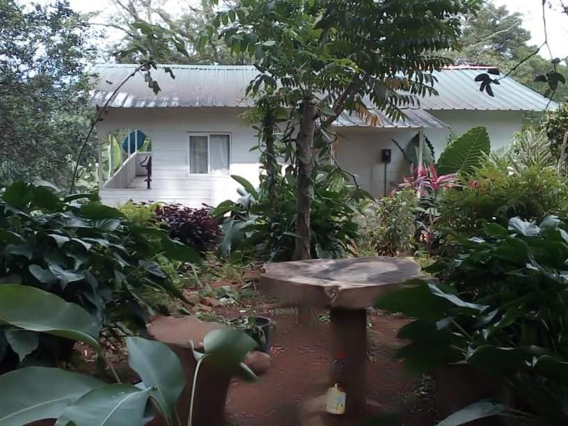 Casa De Andrea Villa Santo Antonio Luaran gambar